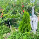 태원농장 이미지