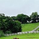 마곡목장 이미지