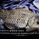고삼닷컴