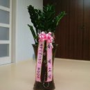 모아경로당 이미지