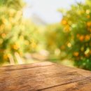 천연(에코)환경 이미지