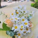 노엘농장 이미지