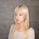 이상헤어 | 보브컷 볼륨펌 실제 시도 후기, 단순한 헤어 변화 이상의 마법 같은 순간