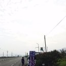 봉능주유소 네이버블로그