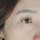 르네41 이미지