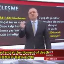 장기시장 이미지