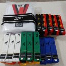 용인대 국기 태권도장 이미지