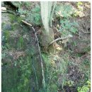 물통골마을 이미지