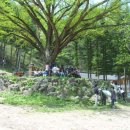 군포옥천초등학교 이미지