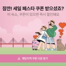 일기일회 이미지