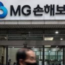 MG손보, 매각 불발…‘청산’ 우려에 124만 계약자 불안 이미지