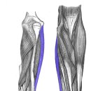 하트핏 휘트니스 이미지