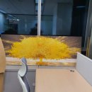 (주)스윙크 이미지