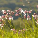 시매쓰학원 이미지