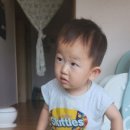 숲속애소 이미지