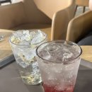 커피담다 | 마곡나루 서울식물원 카페 커피에꽃을담다 방문 후기