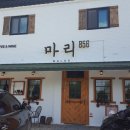 마리856 이미지
