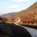 화전2리 마을회관 이미지