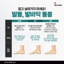 레푸스 정자점 이미지