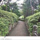 조원동-2 이미지