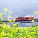 베트남 사파 이미지