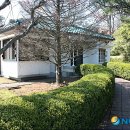 동부관광㈜ 이미지