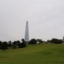 나무와나 이미지