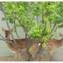 운악산의뜰 이미지