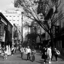 우정의원 이미지