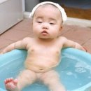 오야 이미지
