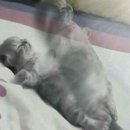 블루홀센터 | 제가 드디어 이집트를 다녀왔눈데용