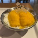 장수사우나목욕탕 | [25년 7월 3주] 대전 여행 성심당과 망고시루 아이패드 미니 그리고 보드게임 카페