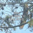 용담민박 이미지