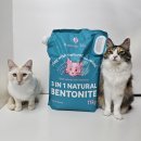 티에스엘 이미지