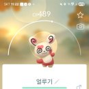 귀여운 포켓몬 볼사람 이미지