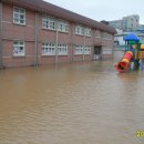 성주농협주유소 이미지