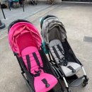 동화세차장 | 올랜도여행 ⑮ 디즈니월드 방문 후기(tip 모음)