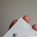 바이오클린 | [내돈내산] 바이오옵틱스 아이클린 리드클리너 눈꺼풀세정제 후기