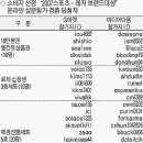 명품 이미지