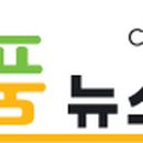 범안과 이미지