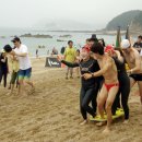 태안바다 이미지