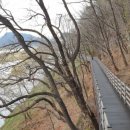 원지강변로 이미지