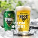 맥주 좋아하는 사람이라면 은근 만족할 아이템 후기
