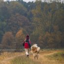 동천 동물병원 이미지