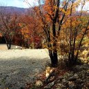 광양 진틀펜션 이미지