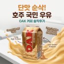 일일COFFEE | 호주 오크 커피우유(OAK Iced Coffee) 내돈내산 솔직 후기! 당류, 단백질 성분 분석부터 맛 평가까지...