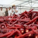 일대마을 이미지