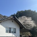 곡천민박