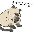 해온동물의료센터 이미지