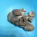 성은경로당 이미지